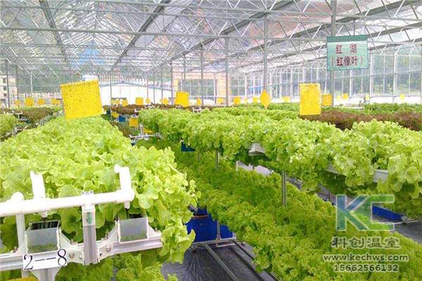 無土栽培，無土栽培技術(shù)，無土栽培設(shè)備