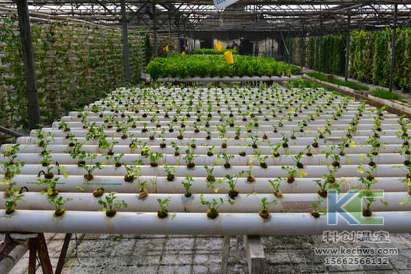 無土栽培，無土栽培技術