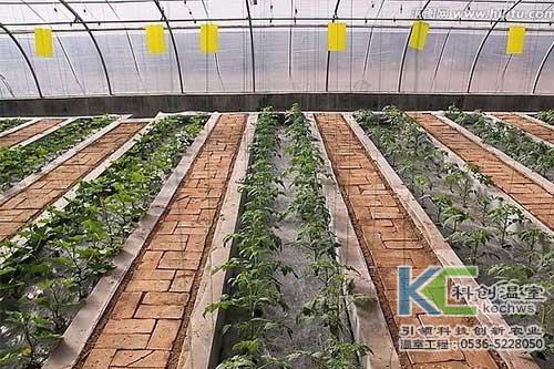 無土栽培，無土栽培技術(shù)，無土栽培設(shè)備