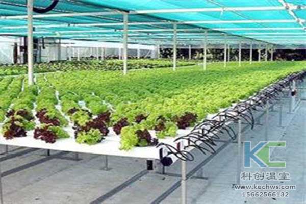 無土栽培，無土栽培技術(shù)，無土栽培設(shè)備