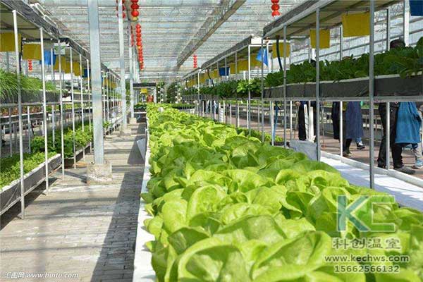 無土栽培，無土栽培技術，無土栽培設備