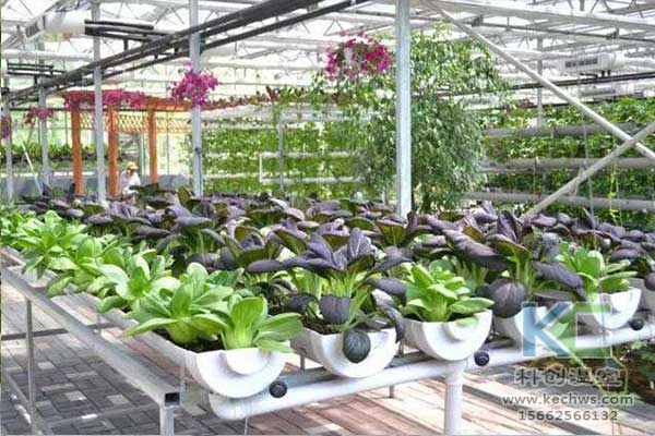 無土栽培，無土栽培技術(shù)，無土栽培設(shè)備
