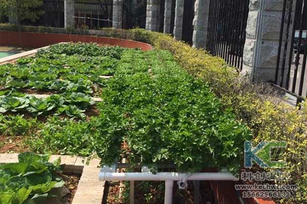 無土栽培，無土栽培技術，無土栽培設備