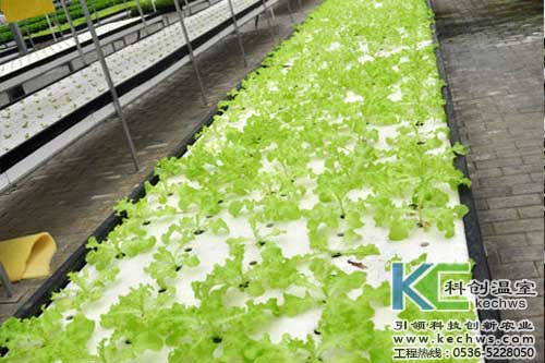 無土栽培，無土栽培技術，無土栽培設備