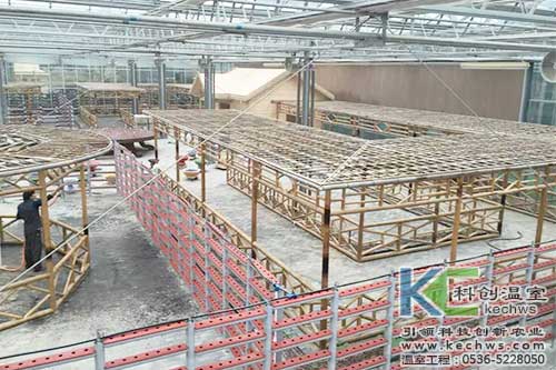 無土栽培，無土栽培案例