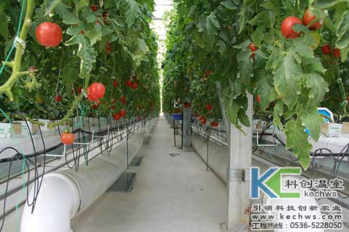 無土栽培，無土栽培技術，無土栽培設備