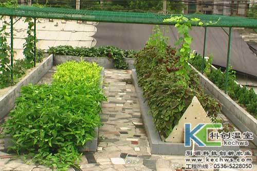 無土栽培，無土栽培技術，無土栽培設備