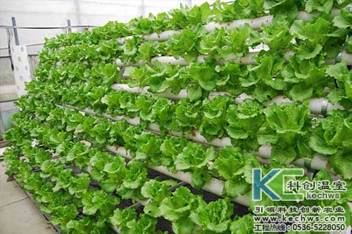 無土栽培，無土栽培技術(shù)，無土栽培設備