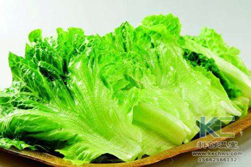 無土栽培，無土栽培技術，無土栽培設備