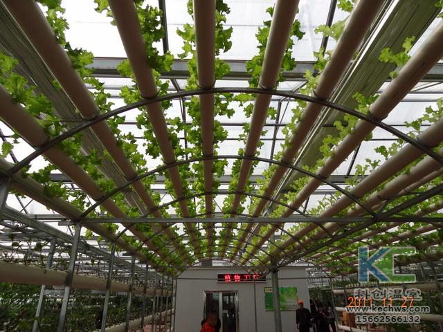 無土栽培，無土栽培技術，無土栽培設備