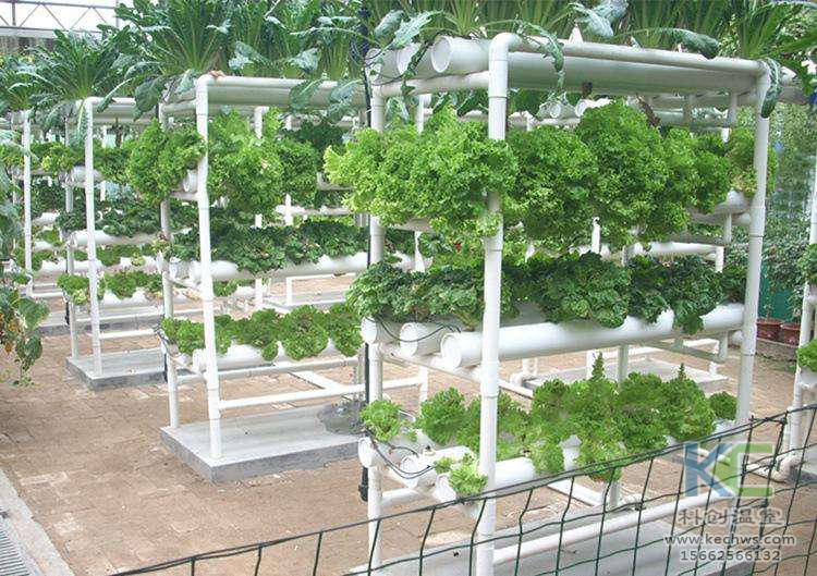 無土栽培，無土栽培技術，無土栽培設備