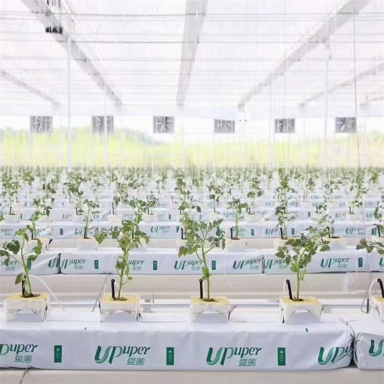 無土栽培，無土栽培技術，無土栽培設備