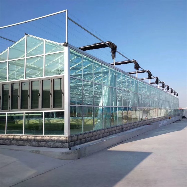 無土栽培,無土栽培技術,無土栽培設備