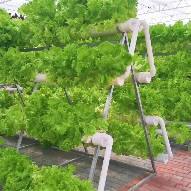 無土栽培，無土栽培技術，無土栽培設備