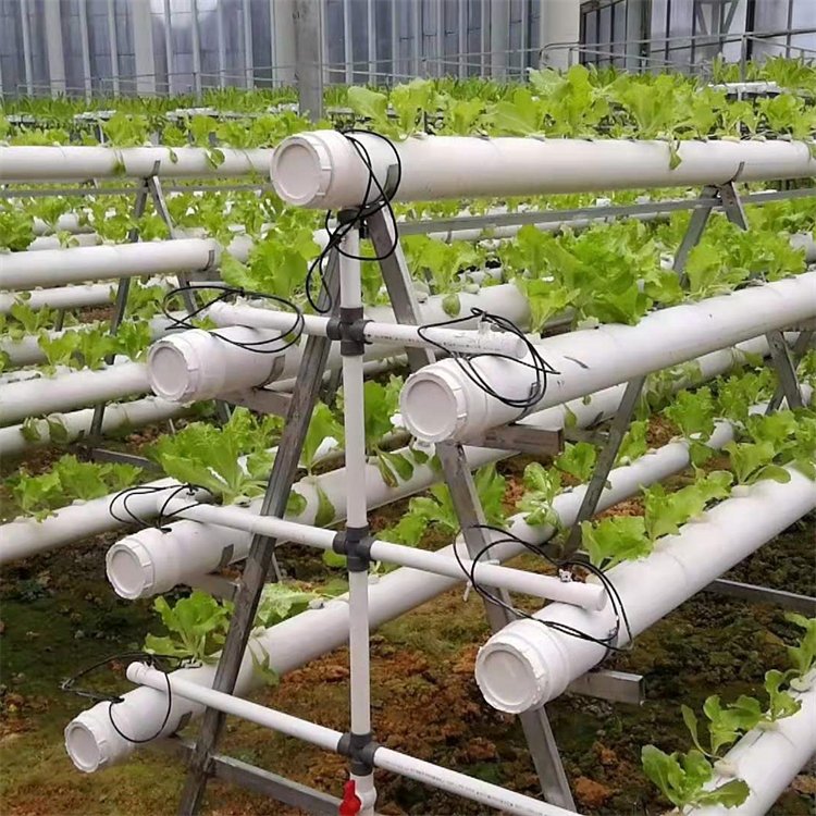 無土栽培，無土栽培技術，無土栽培設備