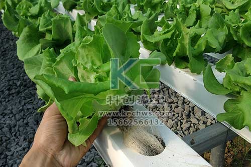 無土栽培，無土栽培技術(shù)，無土栽培設(shè)備