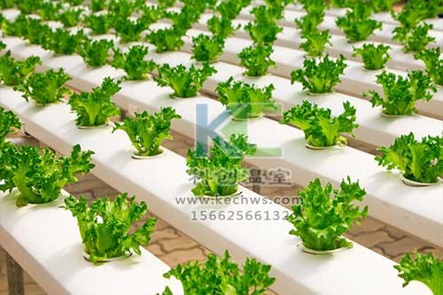 無土栽培，無土栽培技術(shù)，無土栽培設(shè)備