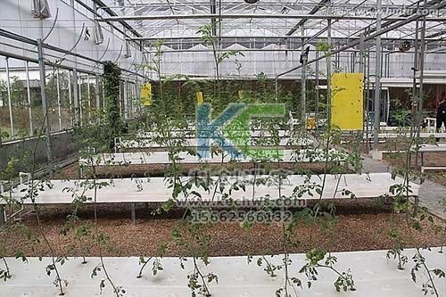 無土栽培，無土栽培技術，無土栽培設備
