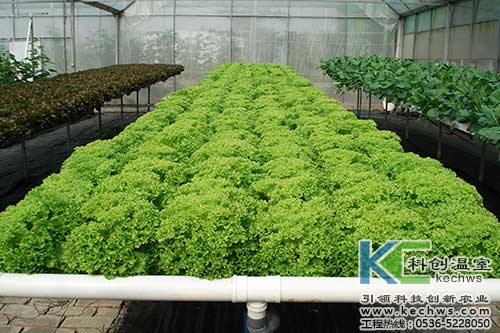 無土栽培,無土栽培技術,無土栽培設備