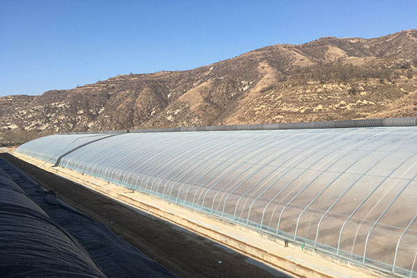 無土栽培,無土栽培技術,無土栽培設備