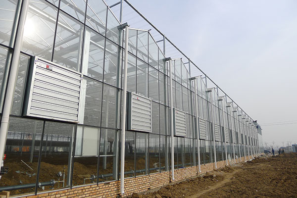 無(wú)土栽培，無(wú)土栽培技術(shù)，無(wú)土栽培設(shè)備