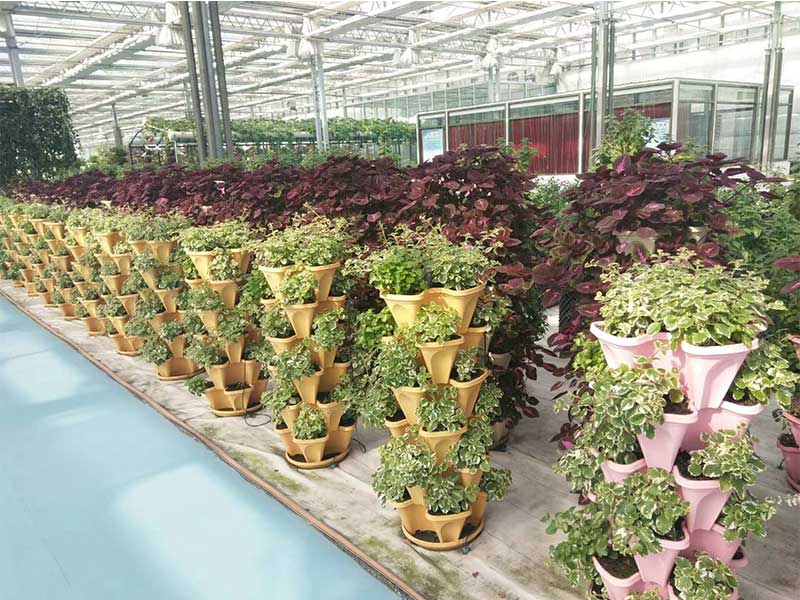 無土栽培，無土栽培技術，無土栽培設備